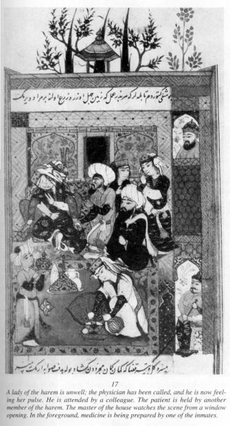 A lady of the harem is unwell